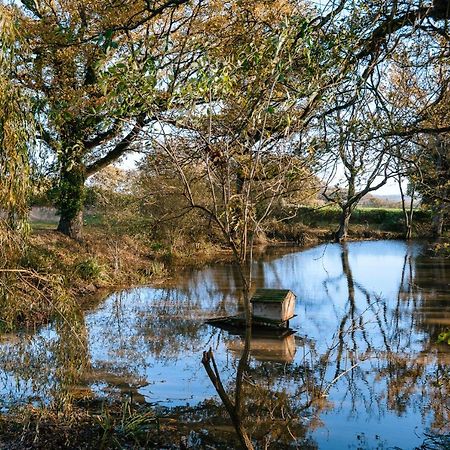Charming Picturesque Cottage - Nr Tenterden & Rye, Pets Welcomed Rolvenden Kültér fotó