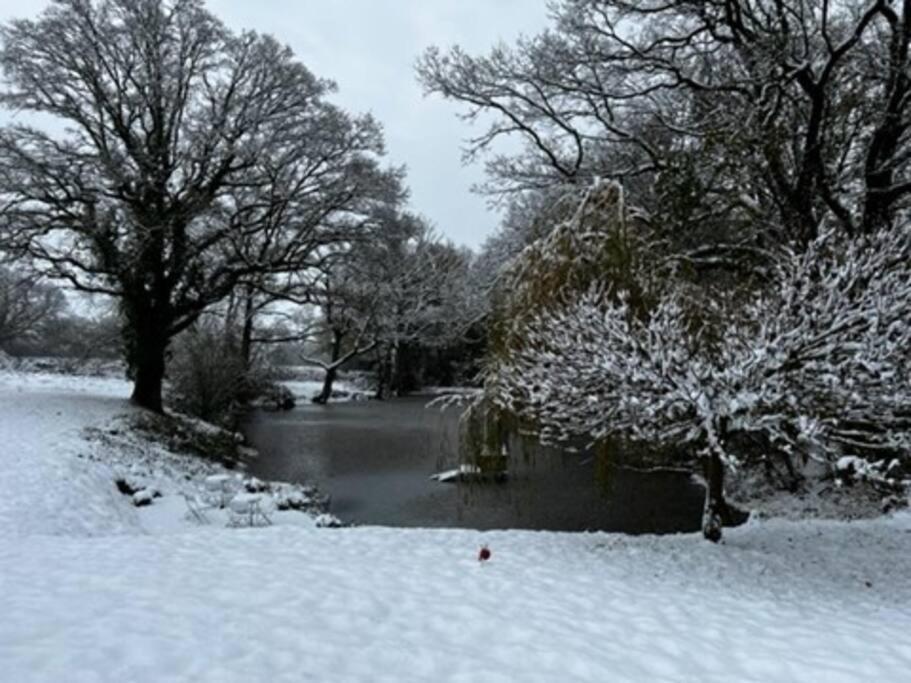 Charming Picturesque Cottage - Nr Tenterden & Rye, Pets Welcomed Rolvenden Kültér fotó
