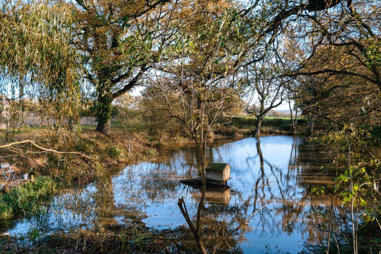 Charming Picturesque Cottage - Nr Tenterden & Rye, Pets Welcomed Rolvenden Kültér fotó